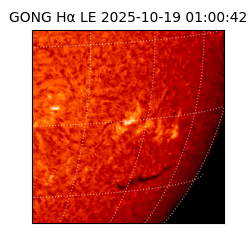 gong - 2025-10-19T01:00:42