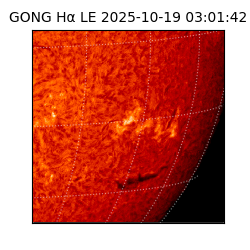 gong - 2025-10-19T03:01:42