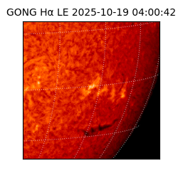 gong - 2025-10-19T04:00:42