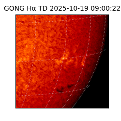 gong - 2025-10-19T09:00:22
