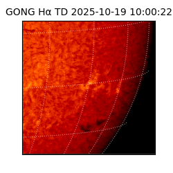 gong - 2025-10-19T10:00:22
