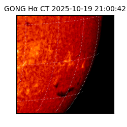 gong - 2025-10-19T21:00:42