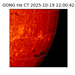 gong - 2025-10-19T22:00:42