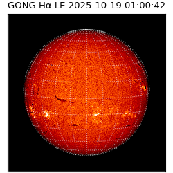 gong - 2025-10-19T01:00:42