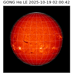 gong - 2025-10-19T02:00:42