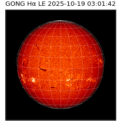 gong - 2025-10-19T03:01:42
