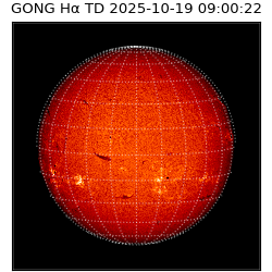 gong - 2025-10-19T09:00:22