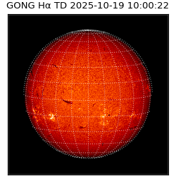 gong - 2025-10-19T10:00:22