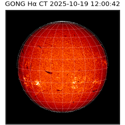 gong - 2025-10-19T12:00:42