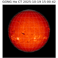 gong - 2025-10-19T15:00:42