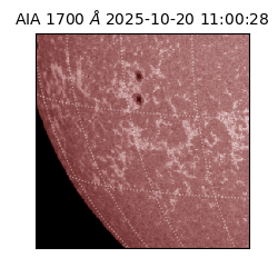 saia - 2025-10-20T11:00:28.717000