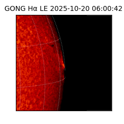 gong - 2025-10-20T06:00:42