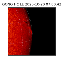 gong - 2025-10-20T07:00:42
