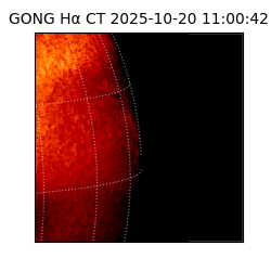 gong - 2025-10-20T11:00:42
