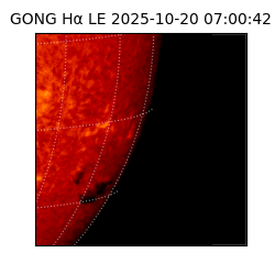 gong - 2025-10-20T07:00:42