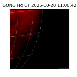 gong - 2025-10-20T11:00:42