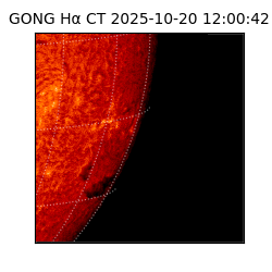 gong - 2025-10-20T12:00:42