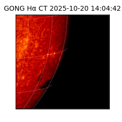 gong - 2025-10-20T14:04:42