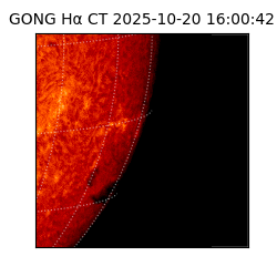 gong - 2025-10-20T16:00:42