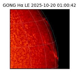 gong - 2025-10-20T01:00:42