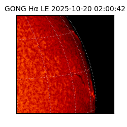 gong - 2025-10-20T02:00:42