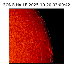 gong - 2025-10-20T03:00:42