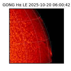gong - 2025-10-20T06:00:42