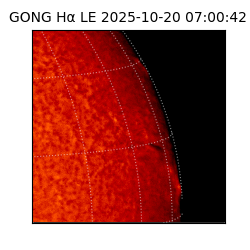 gong - 2025-10-20T07:00:42