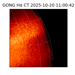 gong - 2025-10-20T11:00:42