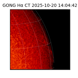 gong - 2025-10-20T14:04:42