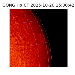 gong - 2025-10-20T15:00:42