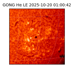 gong - 2025-10-20T01:00:42