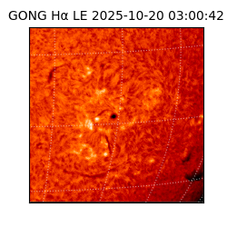 gong - 2025-10-20T03:00:42