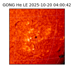 gong - 2025-10-20T04:00:42