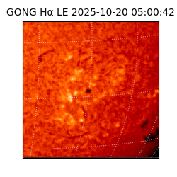 gong - 2025-10-20T05:00:42