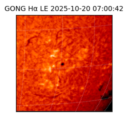 gong - 2025-10-20T07:00:42