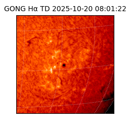 gong - 2025-10-20T08:01:22
