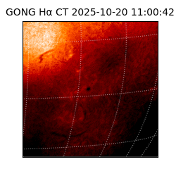 gong - 2025-10-20T11:00:42
