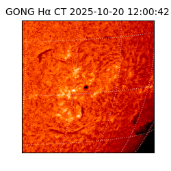 gong - 2025-10-20T12:00:42