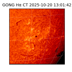 gong - 2025-10-20T13:01:42