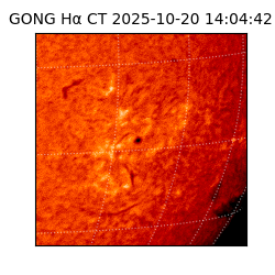gong - 2025-10-20T14:04:42