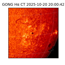 gong - 2025-10-20T20:00:42