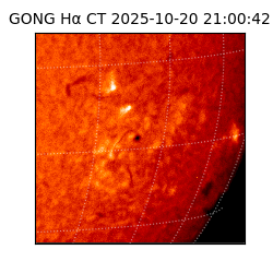gong - 2025-10-20T21:00:42