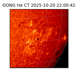 gong - 2025-10-20T22:00:42