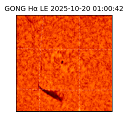 gong - 2025-10-20T01:00:42
