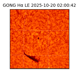 gong - 2025-10-20T02:00:42