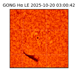 gong - 2025-10-20T03:00:42