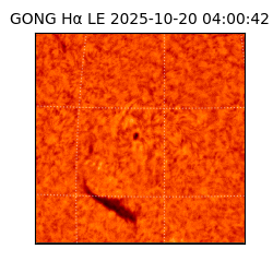 gong - 2025-10-20T04:00:42
