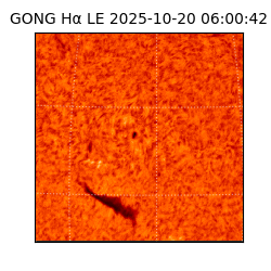 gong - 2025-10-20T06:00:42