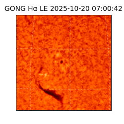 gong - 2025-10-20T07:00:42